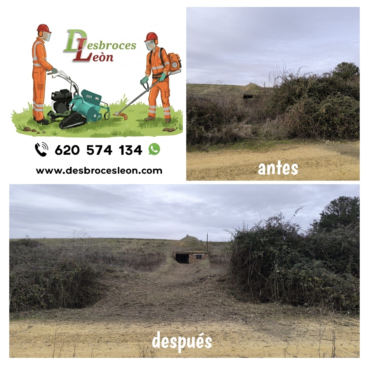 Trabajo de jardinería