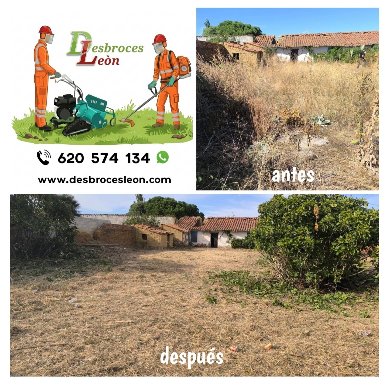 Trabajo de jardinería