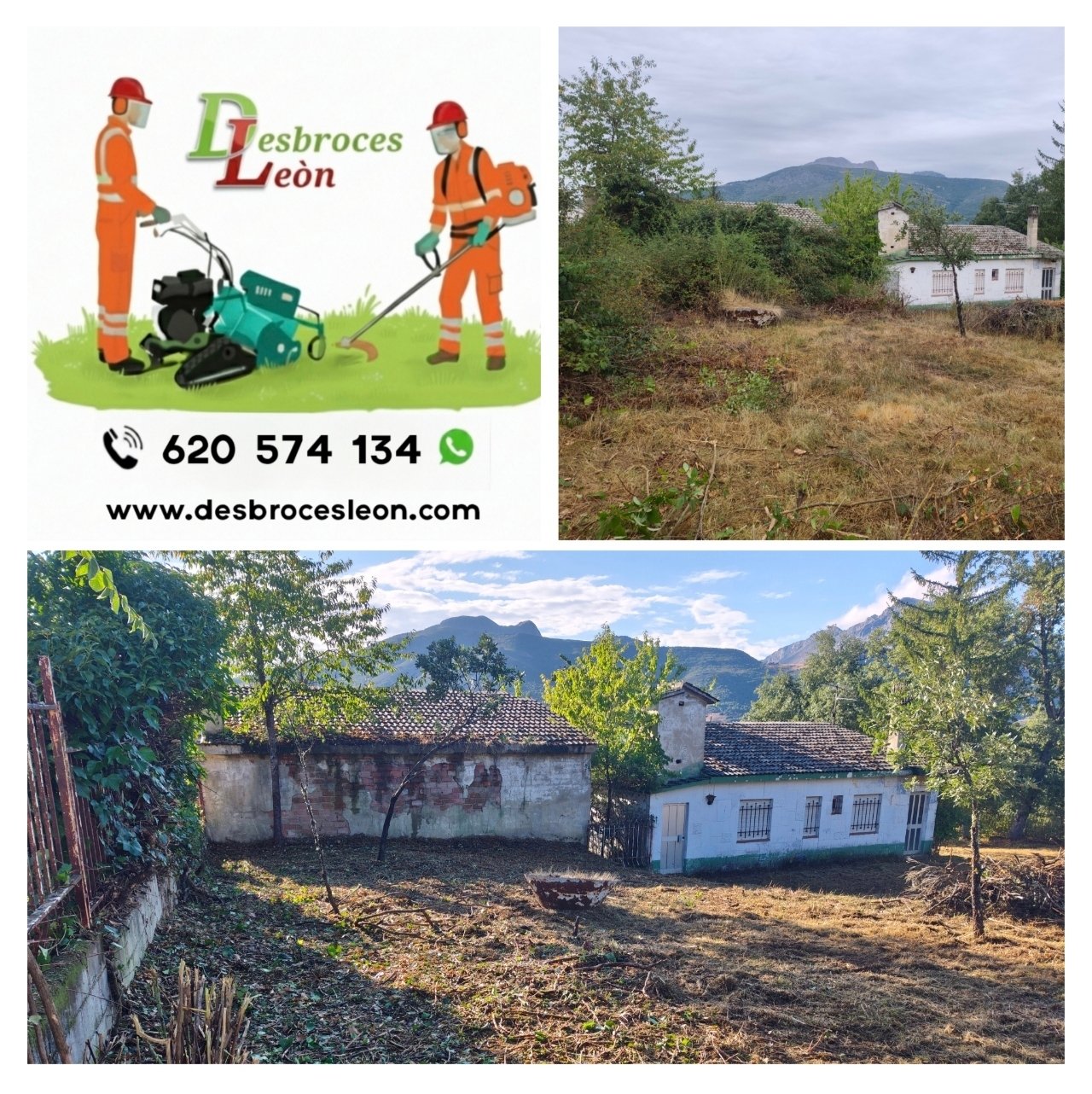 Trabajo de jardinería