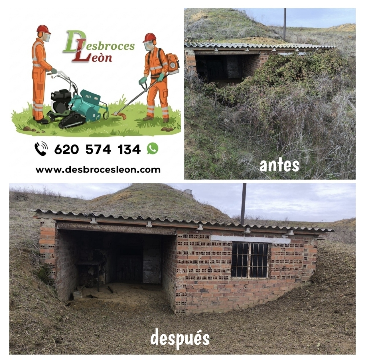 Trabajo de jardinería