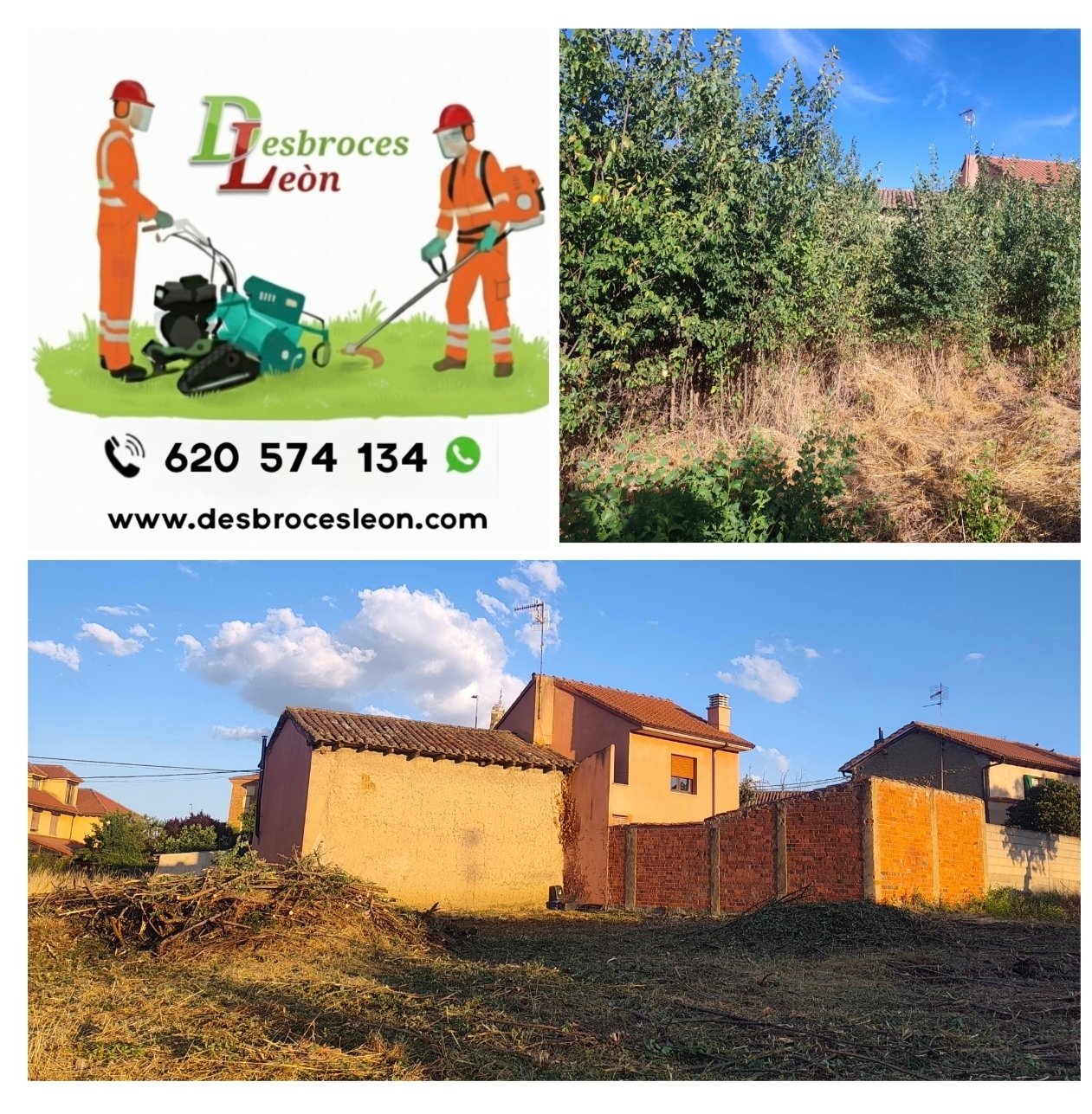 Trabajo de jardinería