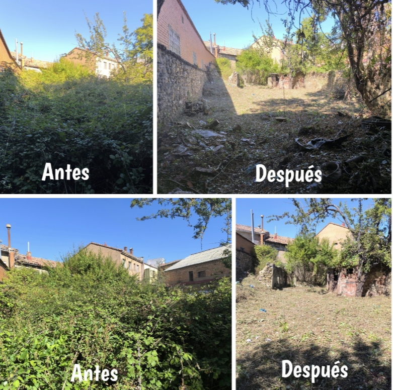 Trabajo de jardinería