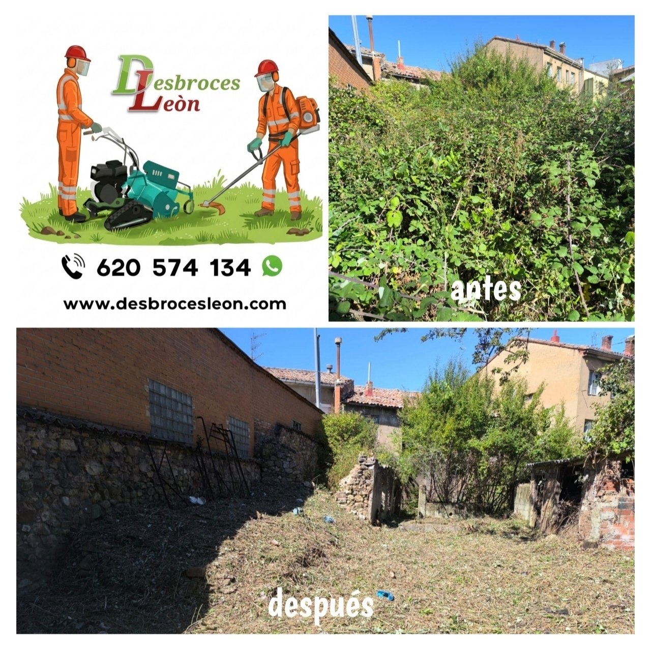 Trabajo de jardinería