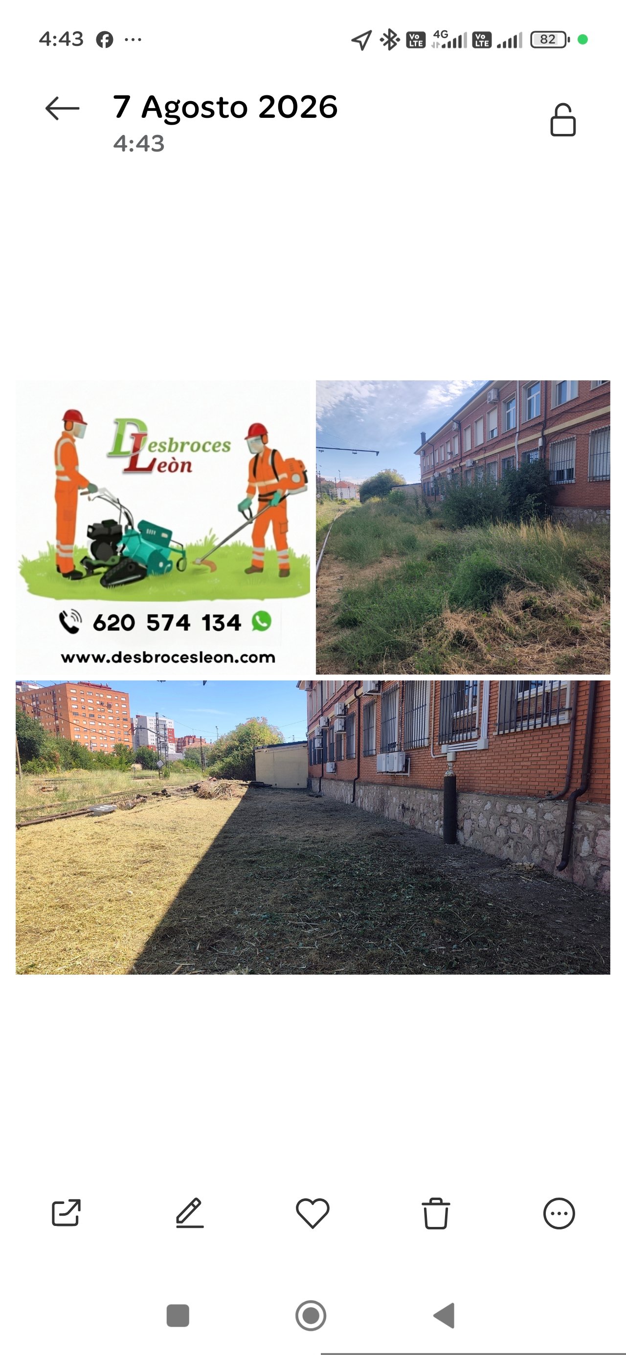 Trabajo de jardinería