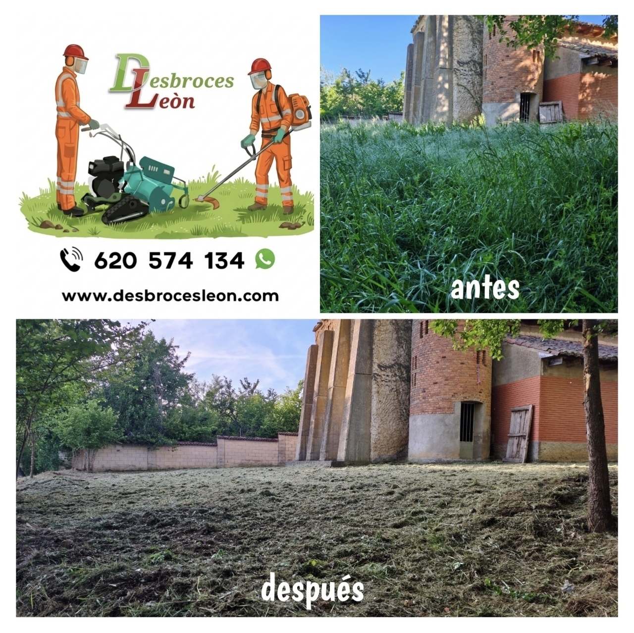 Trabajo de jardinería