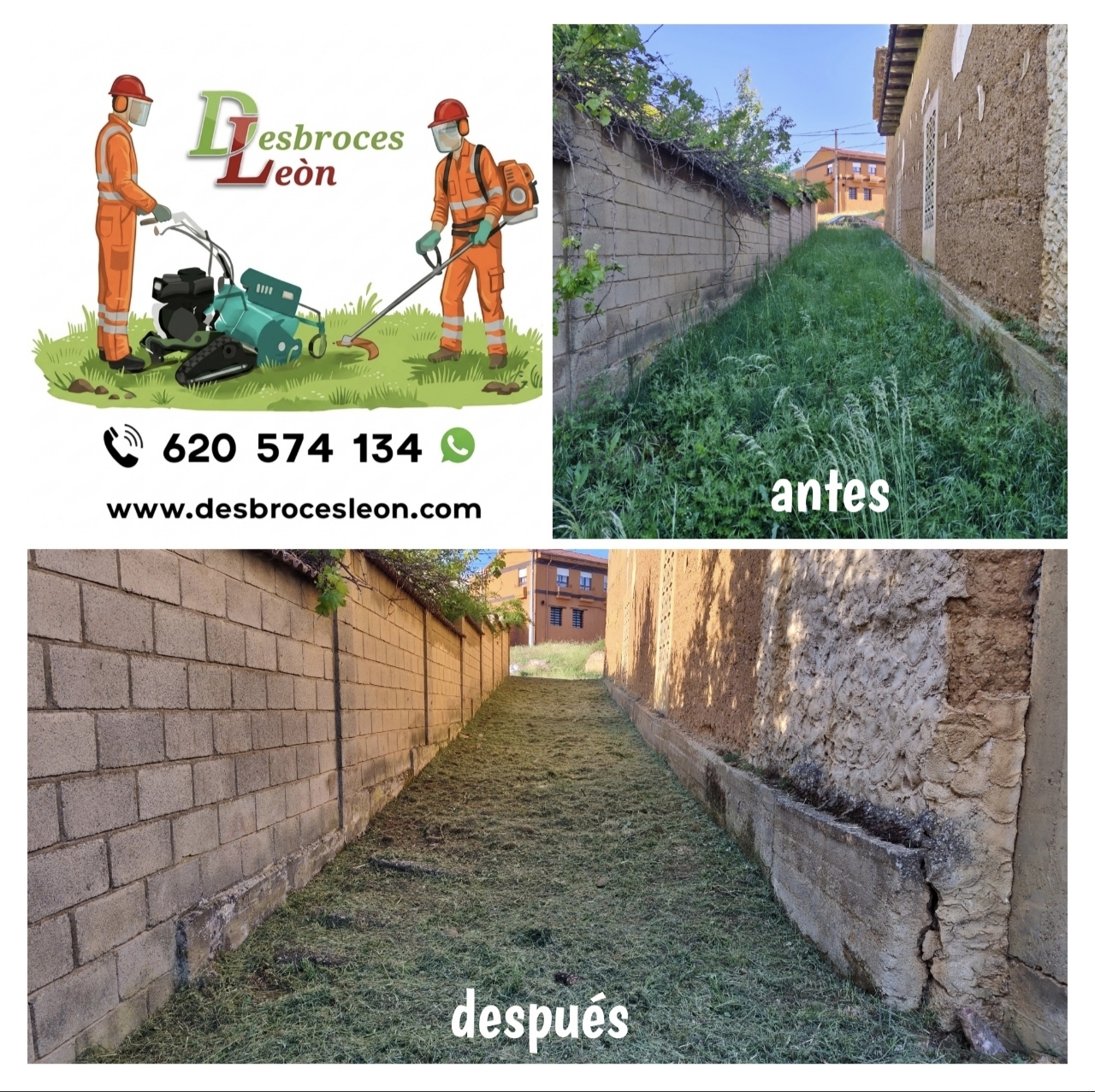 Trabajo de jardinería